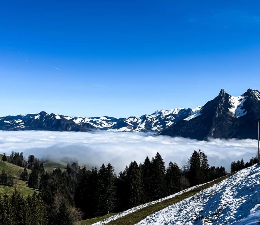 Switzerland / Germany