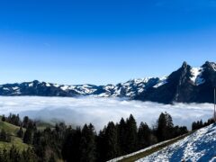 Switzerland / Germany